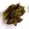 Musgo Verde – Foto 1
