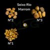 Seixo Rio Marrom – Foto 1